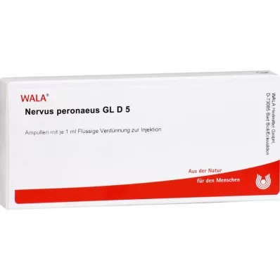NERVUS PERONAEUS GL D 5 ampoules, 10X1 ml NERVUS PERONAEUS GL D 5 ampoules, 10X1 ml