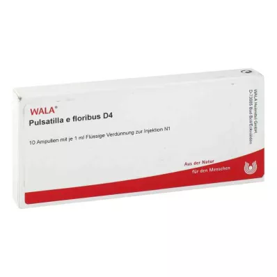 PULSATILLA E floribus D 4 Ampoules, 10X1 ml PULSATILLA E floribus D 4 Ampoules, 10X1 ml