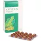 LECITHIN KAPSELN biolog.alsitan, 60 pcs