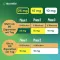 NICORETTE TX Patch 10 mg, 7 pc