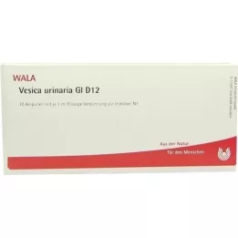 VESICA URINARIA GL D 12 Ampoules, 10X1 ml