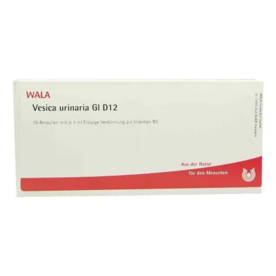 VESICA URINARIA GL D 12 Ampoules, 10X1 ml VESICA URINARIA GL D 12 Ampoules, 10X1 ml