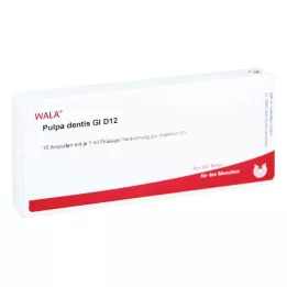 PULPA DENTIS GL D 12 Ampoules, 10X1 ml