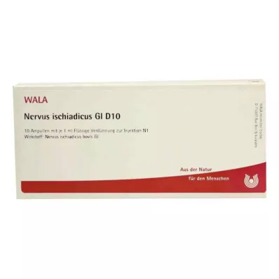 NERVUS ISCHIADICUS GL D 10 ampoules, 10X1 ml