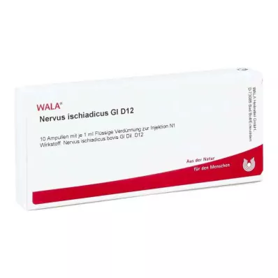 NERVUS ISCHIADICUS GL D 12 Ampoules, 10X1 ml
