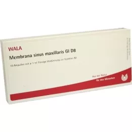 MEMBRANA sinus maxillaris GL D 8 ampoules, 10X1 ml