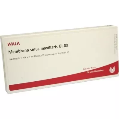 MEMBRANA sinus maxillaris GL D 8 ampoules, 10X1 ml