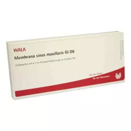 MEMBRANA sinus maxillaris GL D 8 ampoules, 10X1 ml