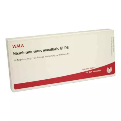 MEMBRANA sinus maxillaris GL D 8 ampoules, 10X1 ml