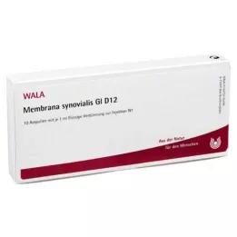 MEMBRANA synovialis GL D 12 ampoules, 10X1 ml
