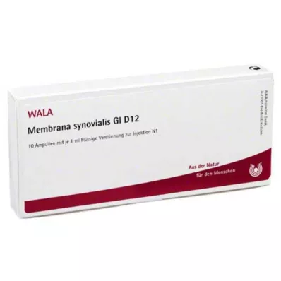 MEMBRANA synovialis GL D 12 ampoules, 10X1 ml