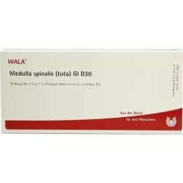 MEDULLA SPINALIS tota GL D 30 ampoules, 10X1 ml