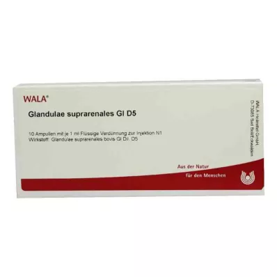 GLANDULAE SUPRARENALES GL D 5 ampoules, 10X1 ml