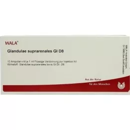 GLANDULAE SUPRARENALES GL D 8 Ampoules, 10X1 ml