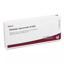 GLANDULAE SUPRARENALES GL D 30 Ampoules, 10X1 ml