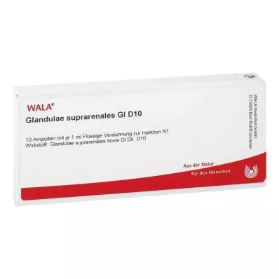GLANDULAE SUPRARENALES GL D 10 ampoules, 10X1 ml GLANDULAE SUPRARENALES GL D 10 ampoules, 10X1 ml