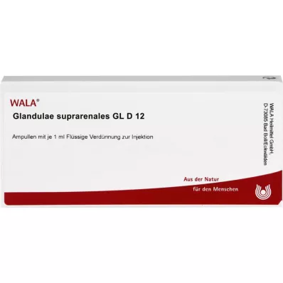 GLANDULAE SUPRARENALES GL D 12 Ampoules, 10X1 ml