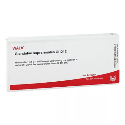 GLANDULAE SUPRARENALES GL D 12 Ampoules, 10X1 ml GLANDULAE SUPRARENALES GL D 12 Ampoules, 10X1 ml
