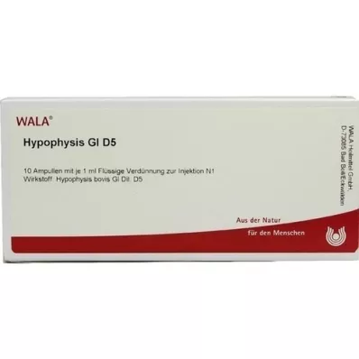 HYPOPHYSIS GL D 5 ampoules, 10X1 ml