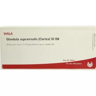 GLANDULA SUPRARENALIS cortex GL D 8 ampoules, 10X1 ml