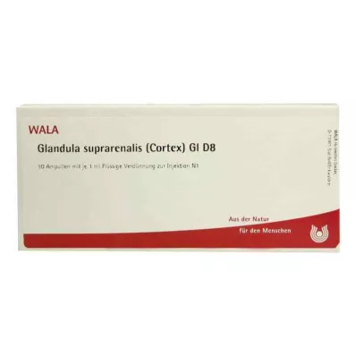 GLANDULA SUPRARENALIS cortex GL D 8 ampoules, 10X1 ml GLANDULA SUPRARENALIS cortex GL D 8 ampoules, 10X1 ml