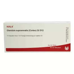GLANDULA SUPRARENALES cortex GL D 12 ampoules, 10X1 ml