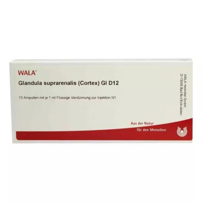 GLANDULA SUPRARENALES cortex GL D 12 ampoules, 10X1 ml GLANDULA SUPRARENALES cortex GL D 12 ampoules, 10X1 ml