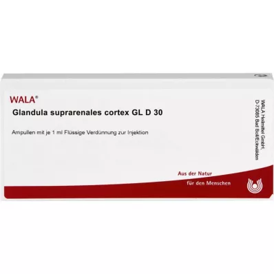 GLANDULA SUPRARENALES cortex GL D 30 ampoules, 10X1 ml
