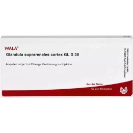 GLANDULA SUPRARENALES cortex GL D 30 ampoules, 10X1 ml