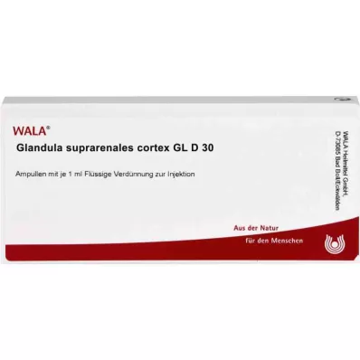 GLANDULA SUPRARENALES cortex GL D 30 ampoules, 10X1 ml