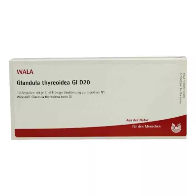 GLANDULA THYREOIDEA GL D 20 Ampoules, 10X1 ml
