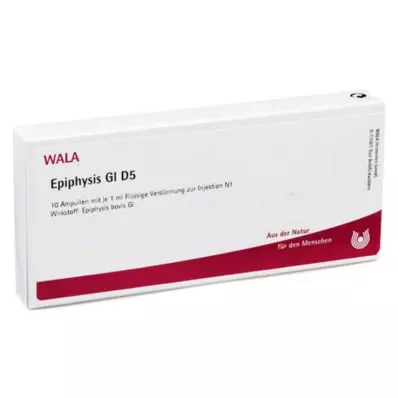 EPIPHYSIS GL D 5 ampoules, 10X1 ml