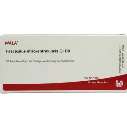 FASCICULUS atrioventricularis GL D 8 ampoules, 10X1 ml