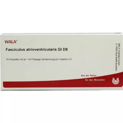 FASCICULUS atrioventricularis GL D 8 ampoules, 10X1 ml