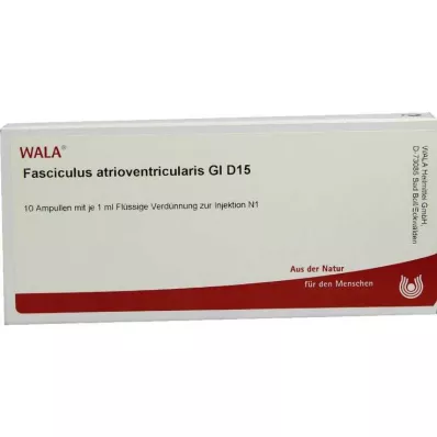 FASCICULUS atrioventricularis GL D 15 ampoules, 10X1 ml FASCICULUS atrioventricularis GL D 15 ampoules, 10X1 ml