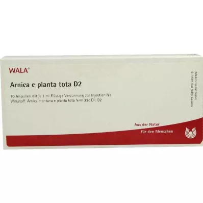 ARNICA E Planta tota D 2 Ampoules, 10X1 ml ARNICA E Planta tota D 2 Ampoules, 10X1 ml