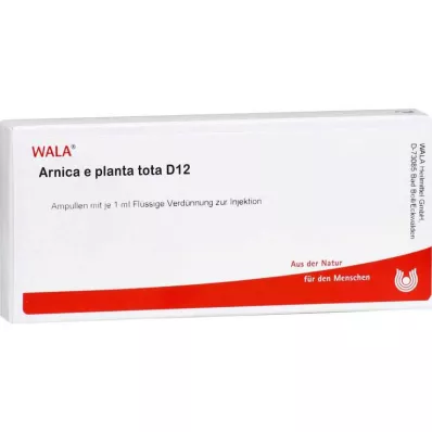ARNICA E Planta tota D 12 Ampoules, 10X1 ml ARNICA E Planta tota D 12 Ampoules, 10X1 ml