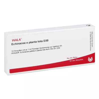 ECHINACEA E planta tota D 30 Ampoules, 10X1 ml ECHINACEA E planta tota D 30 Ampoules, 10X1 ml