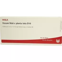 VISCUM MALI e planta tota D 10 ampoules, 10X1 ml