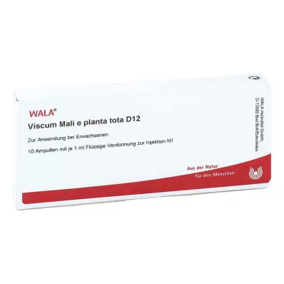 VISCUM MALI e planta tota D 12 Ampoules, 10X1 ml VISCUM MALI e planta tota D 12 Ampoules, 10X1 ml