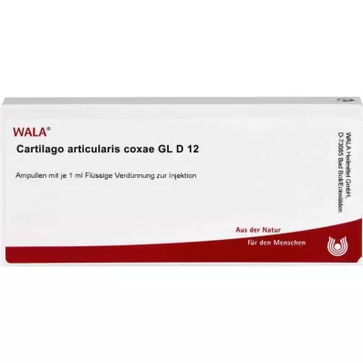 CARTILAGO articularis coxae GL D 12 ampoules, 10X1 ml CARTILAGO articularis coxae GL D 12 ampoules, 10X1 ml
