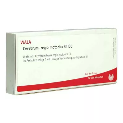 CEREBRUM REGIO motorica GL D 6 ampoules, 10X1 ml