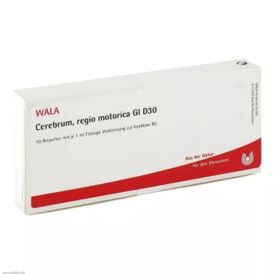 CEREBRUM REGIO motorica GL D 30 ampoules, 10X1 ml CEREBRUM REGIO motorica GL D 30 ampoules, 10X1 ml