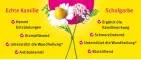 Instructions for use for Kamillan® liquid, 200 ml - 2