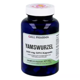 YAMSWURZEL 500 mg GPH Capsules, 120 pcs