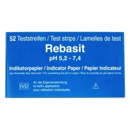 REBASIT Indicator paper, 1 P