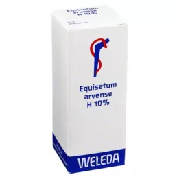EQUISETUM ARVENSE H 10% oily liniment, 50 ml