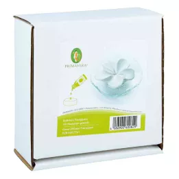 DUFTSTEIN Frangipani glass plate transparent, 1 pc