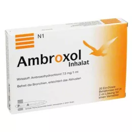 AMBROXOL Inhalate solution for a nebuliser, 20X2 ml