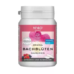ENERGIE KAUGUMMI according to Dr.Bach, 40 pcs